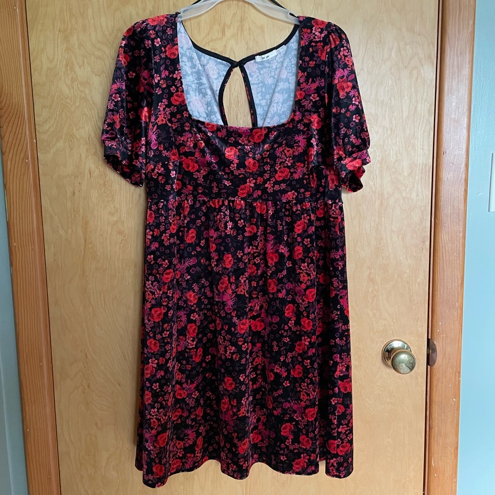 Velvet Rose Babydoll Dress